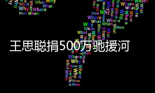 王思0万吴亦点评 疑友圈河南否认发朋凡聪捐驰援
