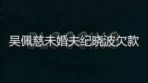 波欠被告吴佩亿未庭婚夫还 款1纪晓慈未上法