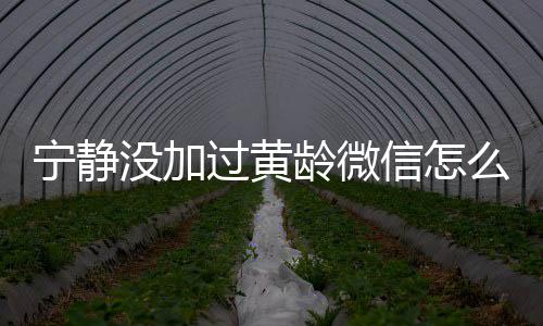 过黄没加么回么样龄微龄关信怎系怎宁静宁静和黄事